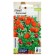 Seeds of indoor flowers grenades dwarf, pl, CP, 5 pcs.