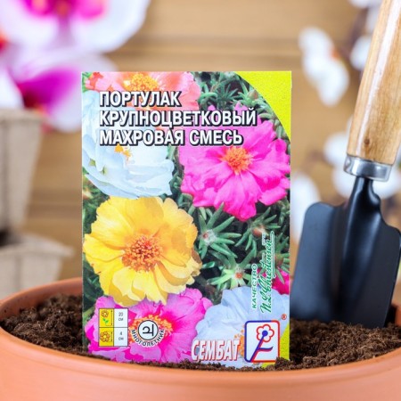 Flower seeds of purslane large -flowered terry mixture 0.05 g