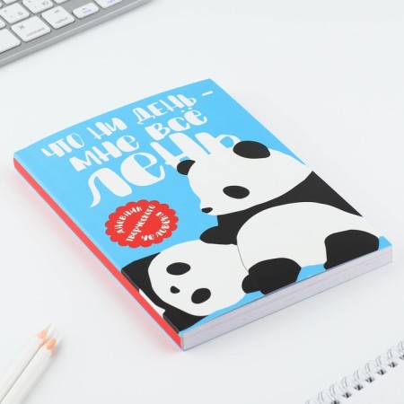 Diary of a creative person A5, 120 l. "Panda"-1