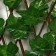 Decorative fence, 120 × 70 cm, “maple leaf”, Greengo