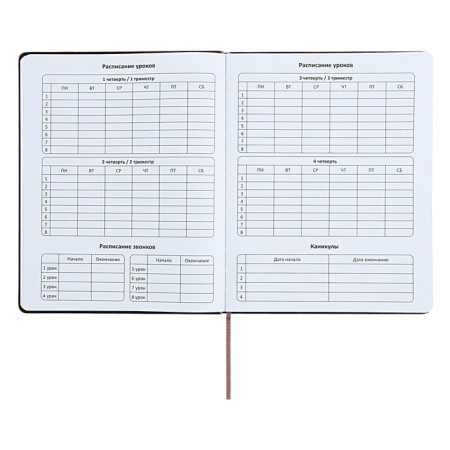 Universal diary for grades 1-11 "strip", solid cover of artificial leather, silkography, lies, 48 ​​sheets, chocolate+turquoise-5