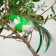 Decor on a bird wire, mix