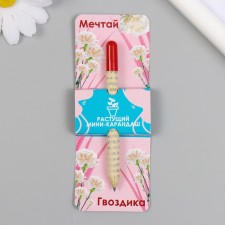 Growing gift pencils mini dream 