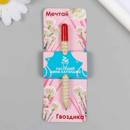 Growing gift pencils mini dream "clove"