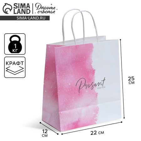 Gift Craft Package, Packaging, Present for You, 22 x 25 x 12 cm