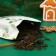 Green Heilis Tea Happy New Year, 30g