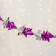 Stretching "Snowflake" D-18 cm 1.5 m, mix