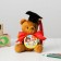 Soft toy and Order for the graduation "Graduate of the kindergarten", a gift set