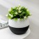 Pot "duet", 1.5 l, black and white color