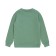 Sweatshirt for boy One Love Light, height 104 cm, green color