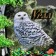 Souvenir-Skol "owl", coil, stone baby, big, mix