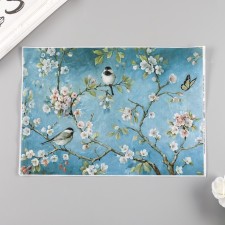 Rice decoupage map 
