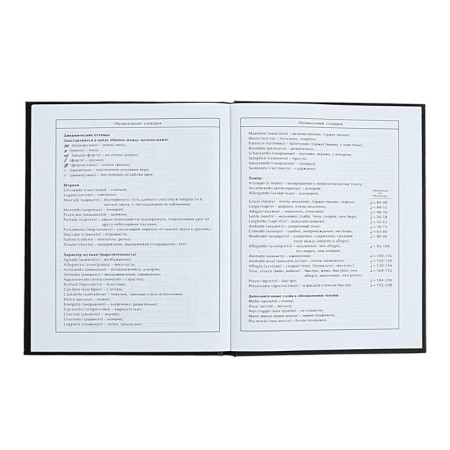 Diary for the MIXTAPE music school, 48 sheets, solid cover, matte lamination, foil embossing, offset block-10