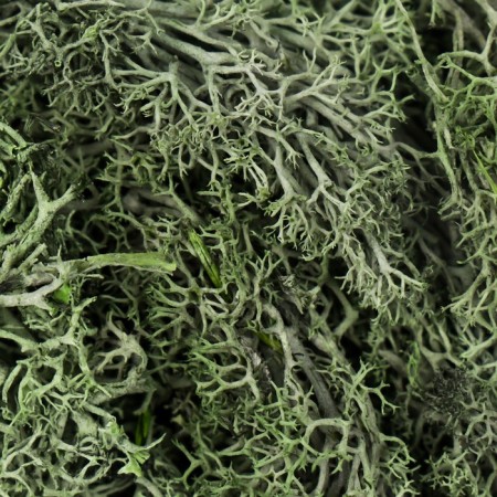 Artificial moss "khaki" 10 g-1