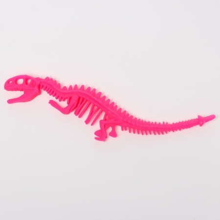 Anthistress Mick "Dinosaurus Skeleton", in showbox-3