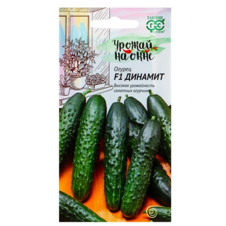 Cucumber seeds "Dynamite", F1, 10 pcs.