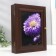 Key "Bright Flower" Wenge 19x24 cm Mix