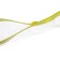 The convert folder on the A4 ZIP-Molniya, 120 μm, Calligrata, transparent, mix