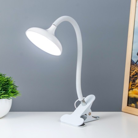 Elsi table lamp LED 3W white 10x11x39 cm Risalux-1
