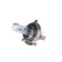 Car lamp Xenite H4 (P43T) +100%, 2 pcs