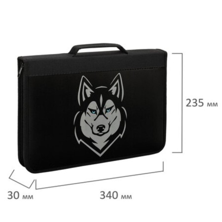 Brauberg A4 lightning folder with a pen, with an organizer, 1 department, "Husky", 271450-4