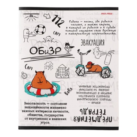 The subject of the objective "Capybara", 48 sheets in the cage "Obituse", the cover coated cardboard, embossing flax, an offset unit
