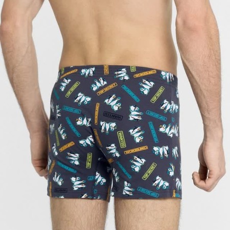Panties men's boxers, Penguin color/Gray, Rr. 54 (XXL)-3