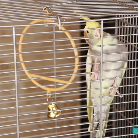 Round bird swings d 11.5 cm, with a bell, beige