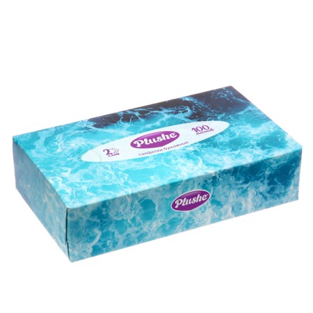 Paper napkins in Plushe box, 2 layers, 100 sheets