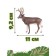 Figure "Deer David, Mila"