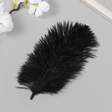 Decorative ostriches 