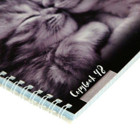 Notebook A5+, 48 sheets in a cage, on the crest "Kittens of Moore", cover coated cardboard, glossy lamination, mix-3