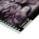 Notebook A5+, 48 sheets in a cage, on the crest "Kittens of Moore", cover coated cardboard, glossy lamination, mix