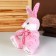 Soft toy "Bunny", Mix colors