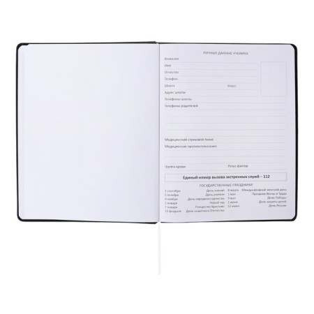 Universal diary for grade 1-11 I recognized, integral cover, artificial leather, silk-screen printing, Liesse, 80 g/m2-3