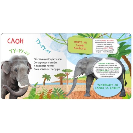 Books with windows. Who lives where?-2