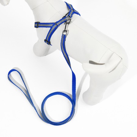 A set with a reflective tape, a collar 120 x 1 cm, OG 26-40 cm, blue-2