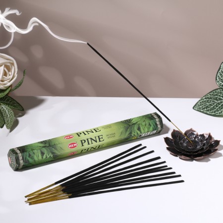 Incense hem "Pine. Pine", 20 sticks in packaging, hexagon