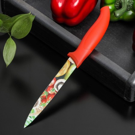 Kitchen knife with an anti -wagoning coating of the crop “crop” universal, blade 12.5 cm-2
