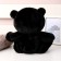 Soft toy "Bear", 25 cm, black color