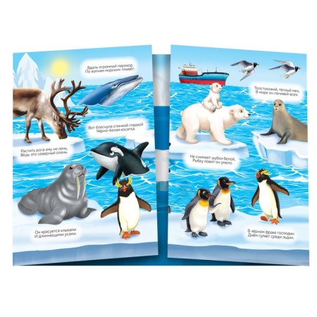 Stickers reusable set "Study animals", 4 pcs.-1