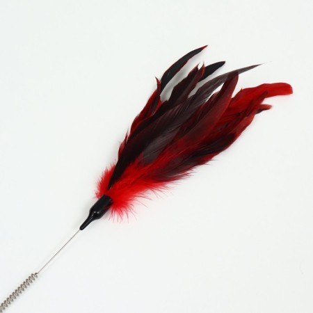 Drawing with feathers and 2 metal. tambourines and double pen (hard/flexible), 60 cm, mix-1