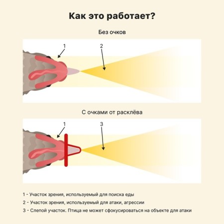 Bird glasses, with an arrow, plastic-4