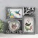 Multi -chamber in 3 photos (10x15/2 pcs, 10x10/1 pcs) plastic, col. silver