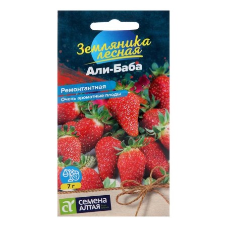 Strawberries "Ali Baba", repairman, seed. ALT, c/p, 0.04 g
