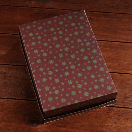 Box a team cover is, without a window, "bumps", 21 x 15 x 5.7 cm-2