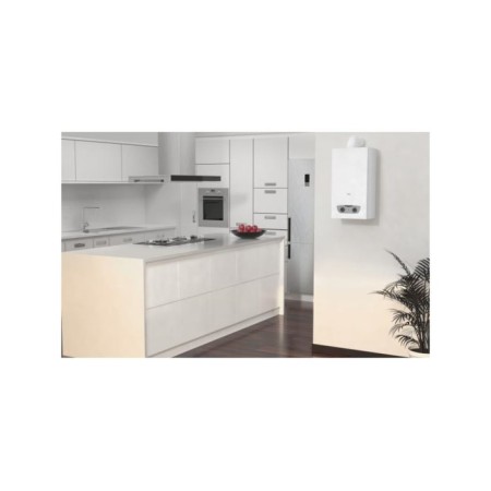 ARISTON FAST R ONM 10 NG RU water heater, flow, 10 l/min, white-2