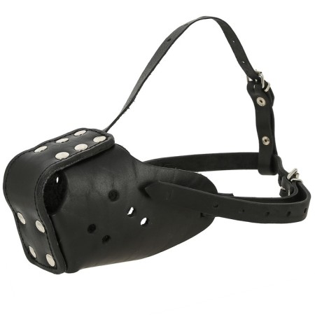 Borcery Leather "Attack", A-4 size, mix of flowers