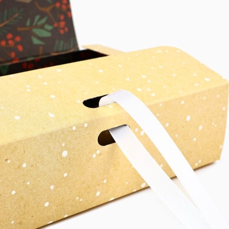 Box folding double -sided "New Year's botanist", 16.5 x 12.5 x 5 cm, without tape, New Year-5