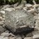 Lamp Garden era on the sunny battery "Stone" LED, IP54, warm white